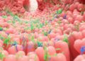 These Tiny Gut Particles Could Be Accelerating Aging Throughout the Body