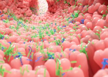 These Tiny Gut Particles Could Be Accelerating Aging Throughout the Body