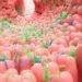 These Tiny Gut Particles Could Be Accelerating Aging Throughout the Body