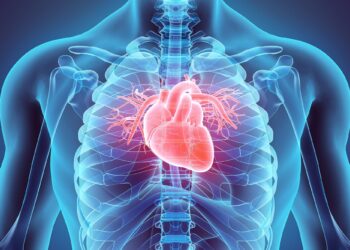 Your Diet Could Be Missing the Key Ingredient for Heart Protection