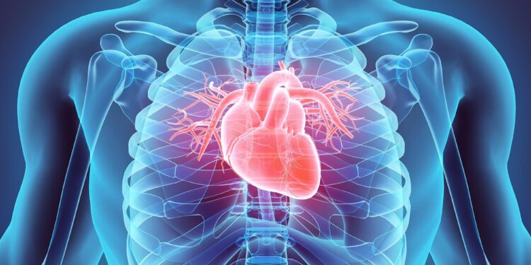Your Diet Could Be Missing the Key Ingredient for Heart Protection