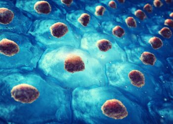 Could Young Stem Cells Be the Key to Healthier Aging?