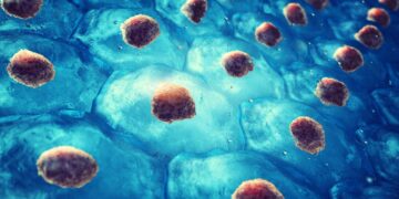 Could Young Stem Cells Be the Key to Healthier Aging?