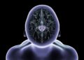 Magnetic Nanoparticles Restore Movement in Mice With Parkinson’s-Like Symptoms