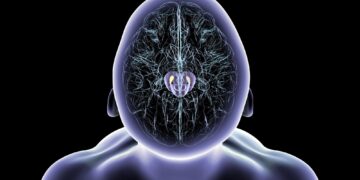 Magnetic Nanoparticles Restore Movement in Mice With Parkinson’s-Like Symptoms