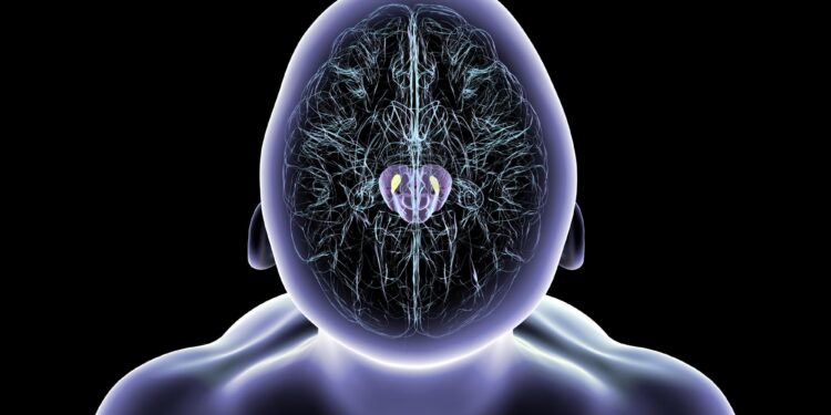 Magnetic Nanoparticles Restore Movement in Mice With Parkinson’s-Like Symptoms