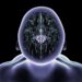 Magnetic Nanoparticles Restore Movement in Mice With Parkinson’s-Like Symptoms