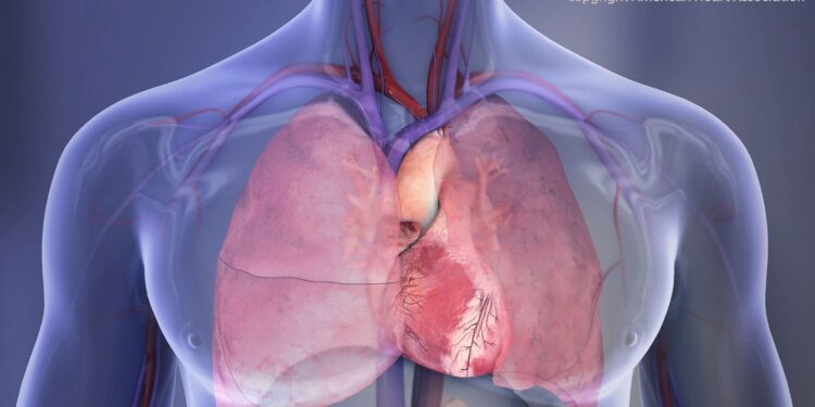 Common Mouth Bacteria May Trigger Dangerous Calcium Buildup in the Heart