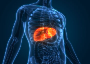 Scientists Create Tiny “Mini Livers” That Could One Day Replace Liver Transplants