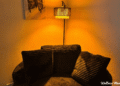Sunlight, Red Light, and How to Harness Light’s Benefits for Health