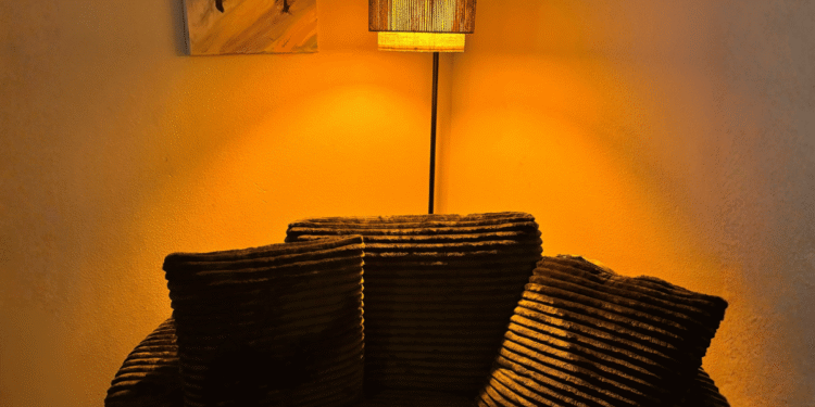 Sunlight, Red Light, and How to Harness Light’s Benefits for Health