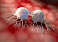New Drug Candidate Helps Overcome Cancer Treatment Resistance