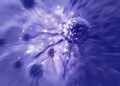 Ancient Immune Protein Could Hold the Key to Better Cancer Immunotherapy