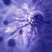 Ancient Immune Protein Could Hold the Key to Better Cancer Immunotherapy