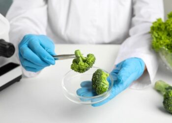 Natural Compound in Broccoli Could Help Treat a Rare, Incurable Neurological Disease