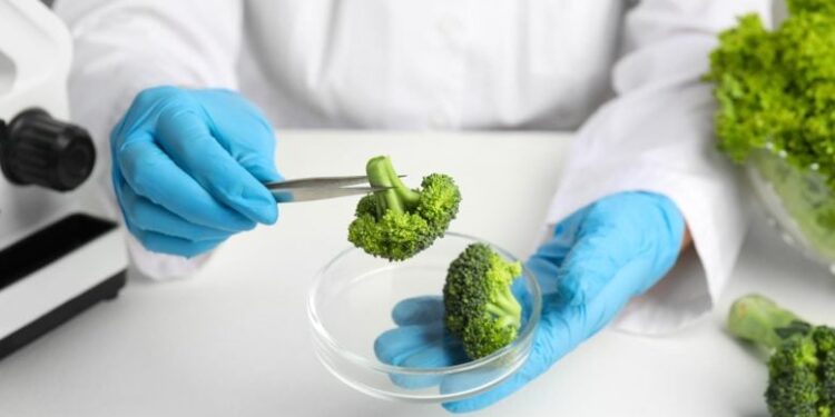 Natural Compound in Broccoli Could Help Treat a Rare, Incurable Neurological Disease