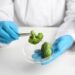 Natural Compound in Broccoli Could Help Treat a Rare, Incurable Neurological Disease