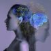 Scientists Discover a Brain Signal Linked to Severe Suicidal Thoughts
