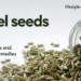 How to Use Fennel Seeds Home Remedies for Health issues?