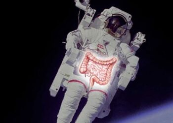Scientists May Have Finally Explained Why Astronauts Get Constipated in Space