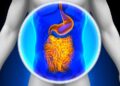 Walking for Just 20 Minutes Caused an Immediate Change in the Gut