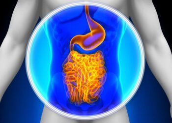 Walking for Just 20 Minutes Caused an Immediate Change in the Gut