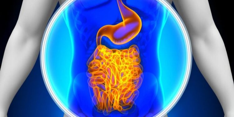 Walking for Just 20 Minutes Caused an Immediate Change in the Gut
