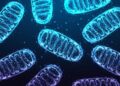 “Zombie” Cells Rewire Their Metabolism To Fuel Inflammation As We Age