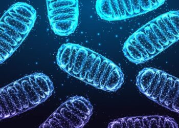 “Zombie” Cells Rewire Their Metabolism To Fuel Inflammation As We Age