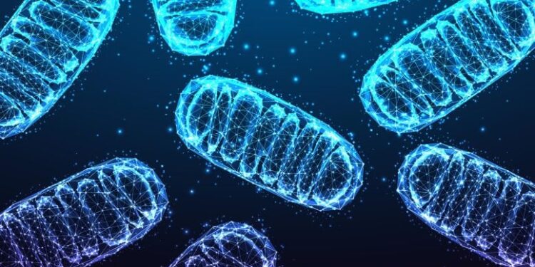 “Zombie” Cells Rewire Their Metabolism To Fuel Inflammation As We Age