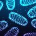 “Zombie” Cells Rewire Their Metabolism To Fuel Inflammation As We Age