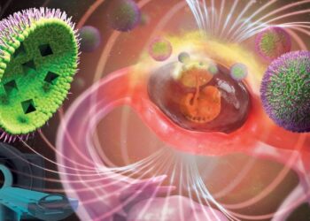 Magnetic Nanoparticles Could Help Detect and Treat Dangerous Ectopic Pregnancies