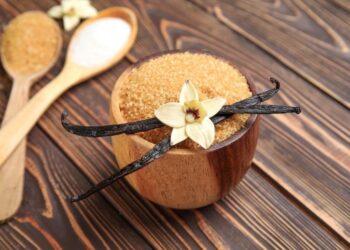 Vanilla’s Sweet Secret Could Help Heal Stubborn Wounds