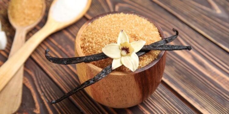 Vanilla’s Sweet Secret Could Help Heal Stubborn Wounds