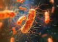 Antibiotic Resistance Is Making This Dangerous Gut Bacterium Even Harder To Kill