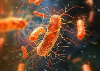 Antibiotic Resistance Is Making This Dangerous Gut Bacterium Even Harder To Kill
