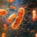 Antibiotic Resistance Is Making This Dangerous Gut Bacterium Even Harder To Kill