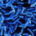 Scientists Discover a Powerful New Weapon Against a Dangerous Gut Infection