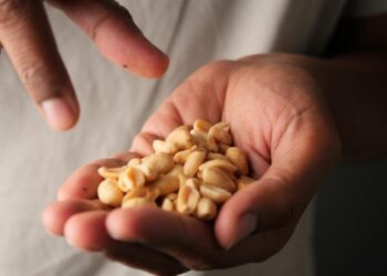 Eating a Handful of Peanuts Could Change Your Blood in a Surprising Way, Study Finds