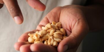 Eating a Handful of Peanuts Could Change Your Blood in a Surprising Way, Study Finds